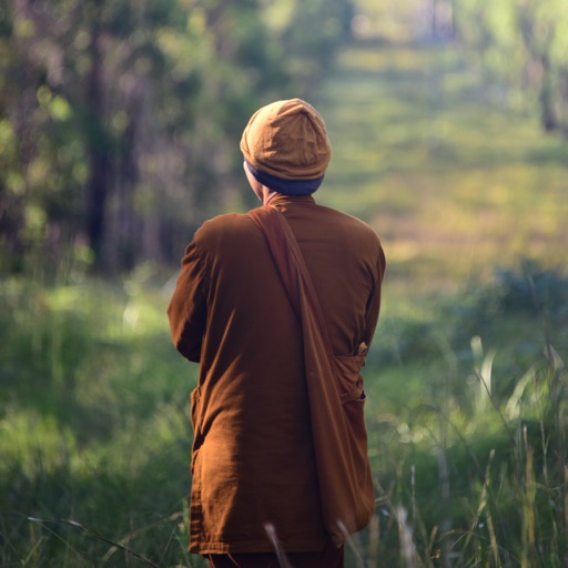 Viên Sơn Panyananda
